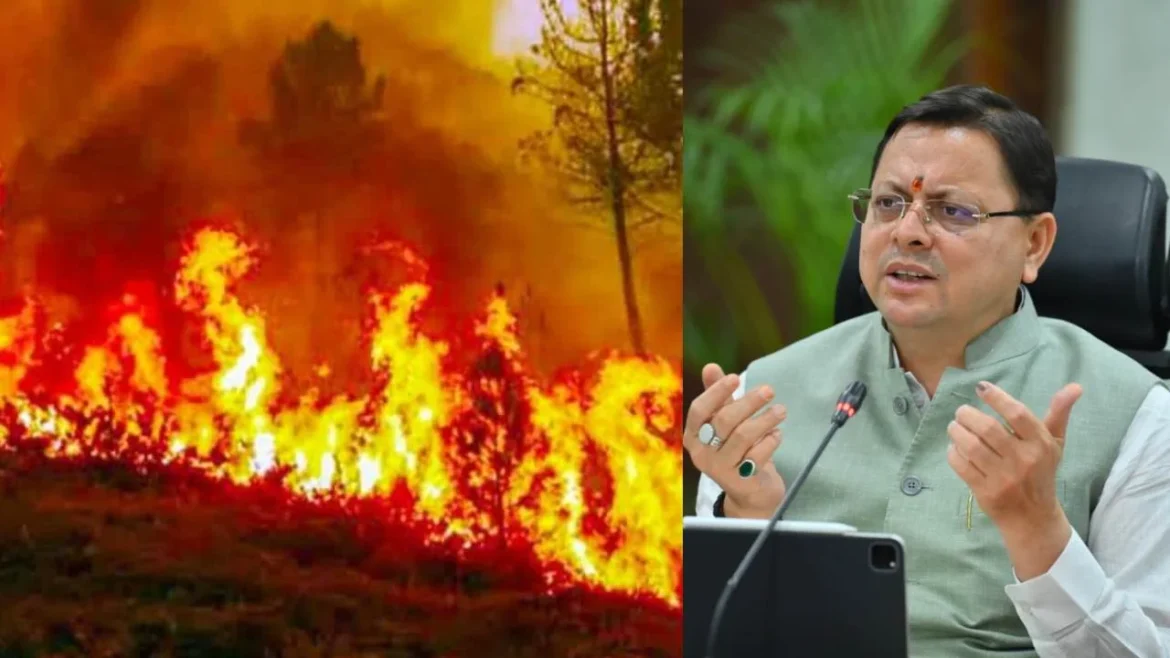 Uttarakhand News: राधा रतूड़ी ने गृह सचिव को बताया कि उत्तराखंड में वनाग्नि के आंकड़ों का दुष्प्रचार पर पड़ेगा महंगा