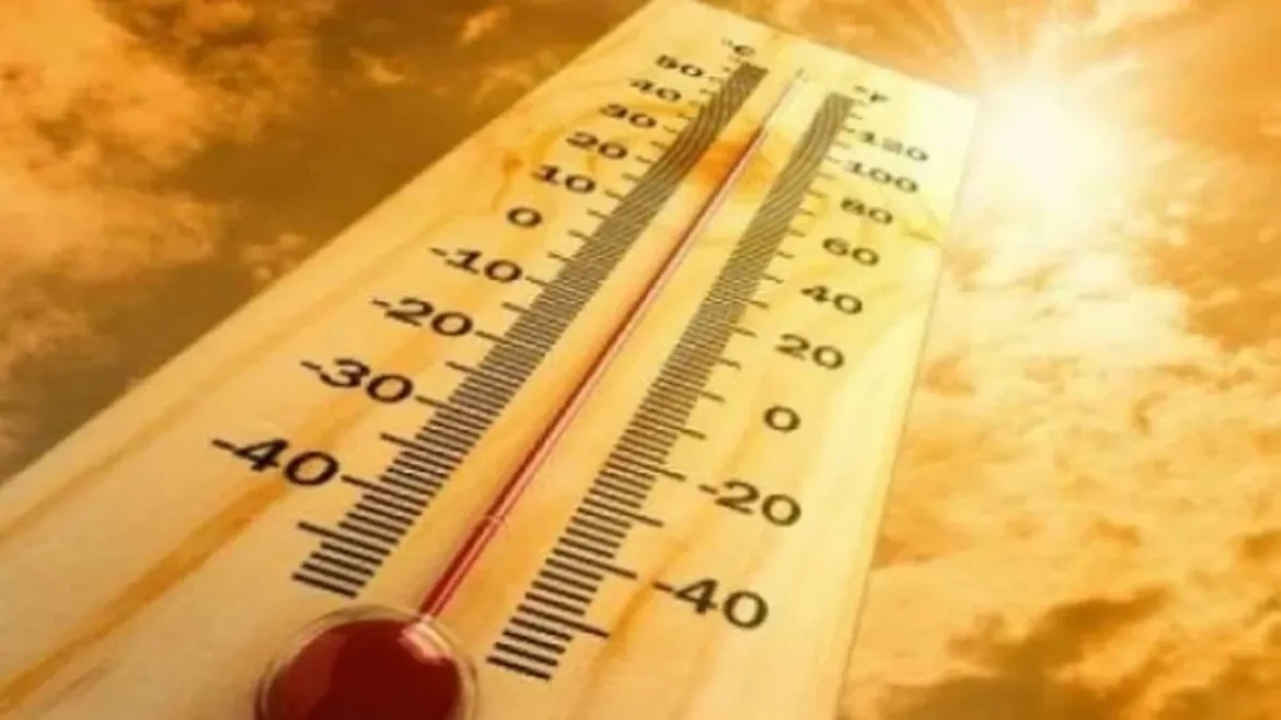 Punjab Weather Update: 17 जिलों में 3 दिनों के लिए ऑरेंज हीटवेव चेतावनी