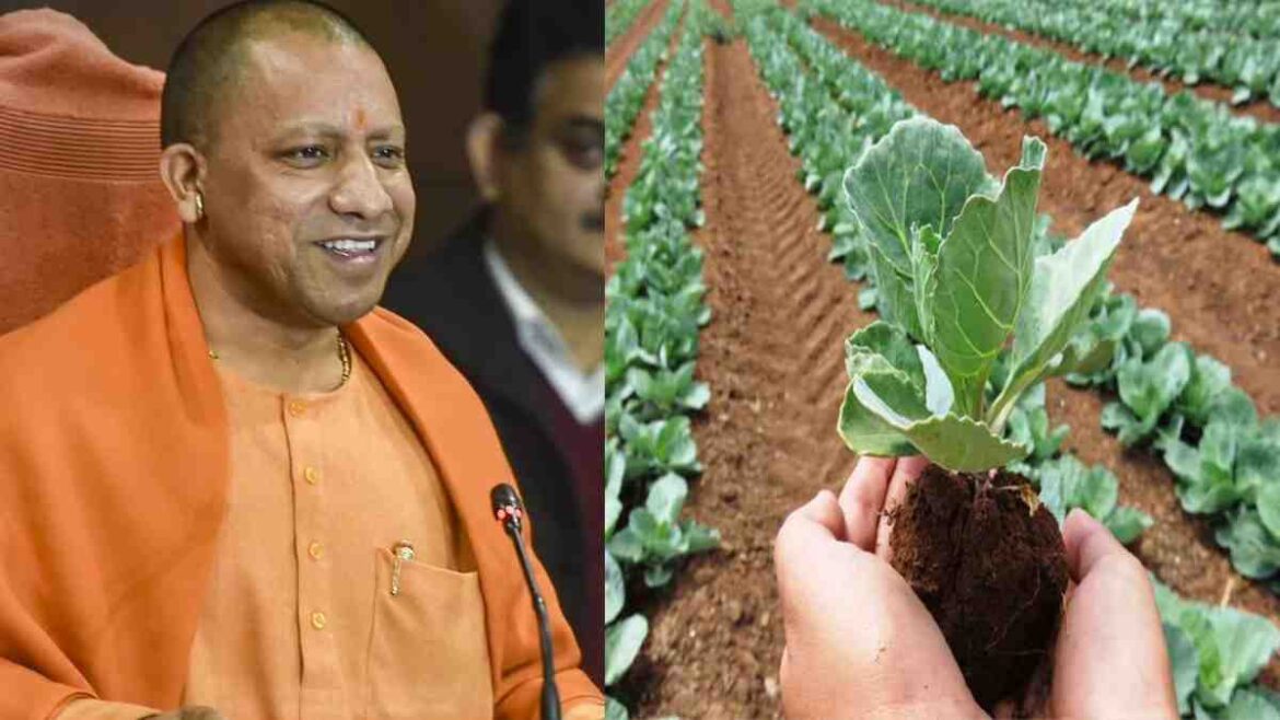 CM Yogi: यूपी के 49 जिलों में प्राकृतिक खेती शुरू करने का प्रस्ताव मंजूरी मिलने की उम्मीद है