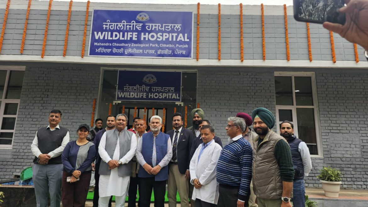 Minister Lal Chand: दो युवा बाघ शावक, 'अभय' और 'आर्यन' छतबीड़ चिड़ियाघर परिवार में शामिल हुए।