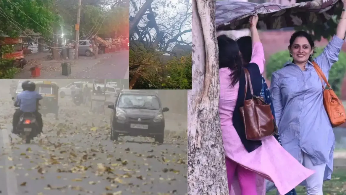 DELHI NEWS : दिल्ली-NCR में तेज आंधी के बाद जोरदार बारिश, कई जगहों पर पेड़ गिरे,जानिए कैसा रहेगा मौसम