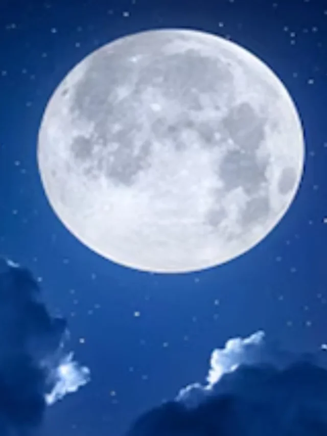 vat-purnima-pic11