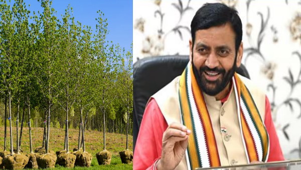 CM Nayab Singh Saini ने लोगों को एक पेड़ लगाकर 'एक पेड़ मां के नाम' अभियान में भाग लेने के लिए प्रोत्साहित किया।