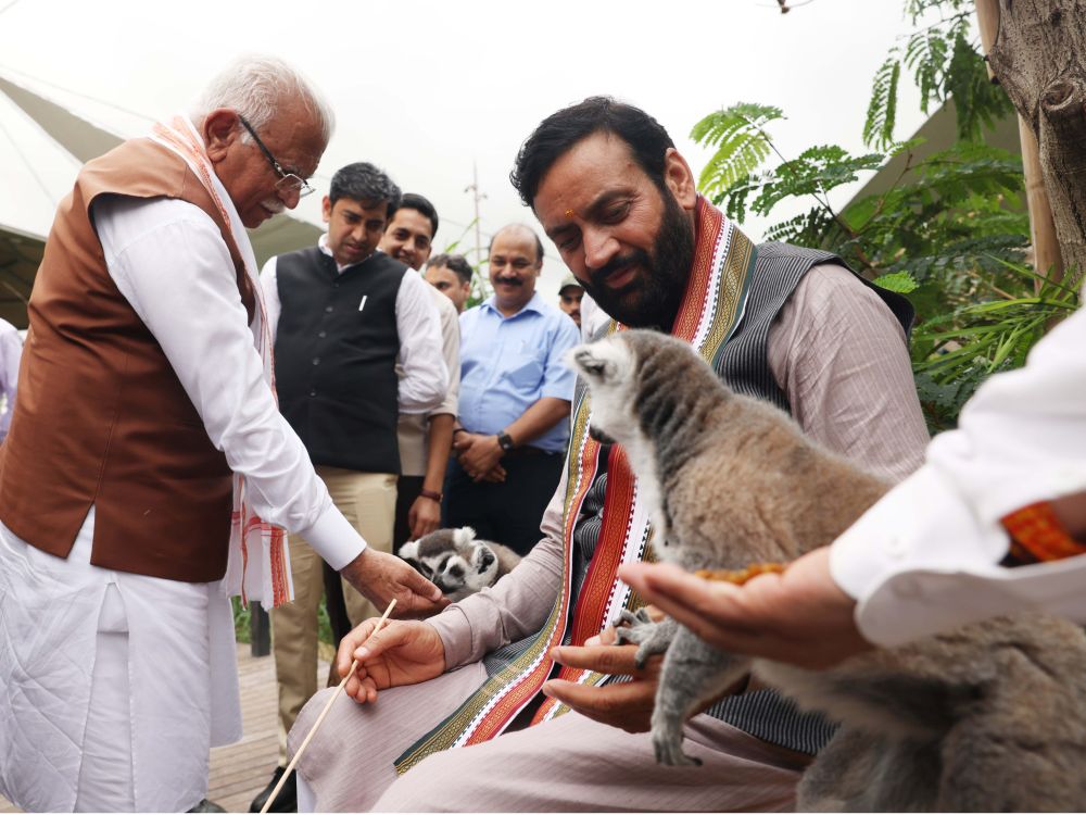 CM Nayab Singh Saini के नेतृत्व में हरियाणा अरावली पहाड़ियों में एशिया की सबसे बड़ी जंगल सफारी स्थापित करने के लिए तैयार है।