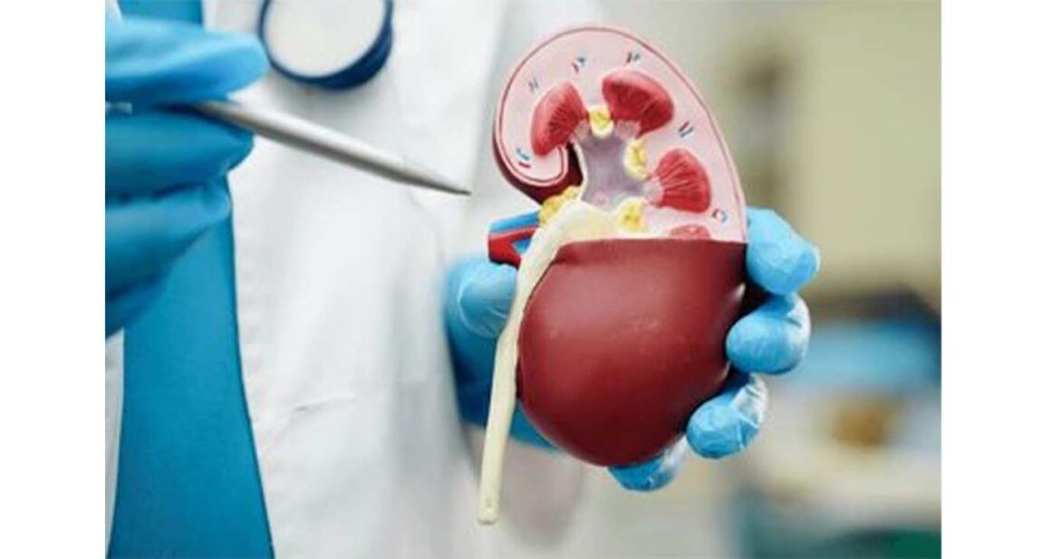 Diabetes में किडनी पर असर पड़ने के ये 5 शुरुआती लक्षण, इन्हें अनदेखा करना पड़ सकता है भारी