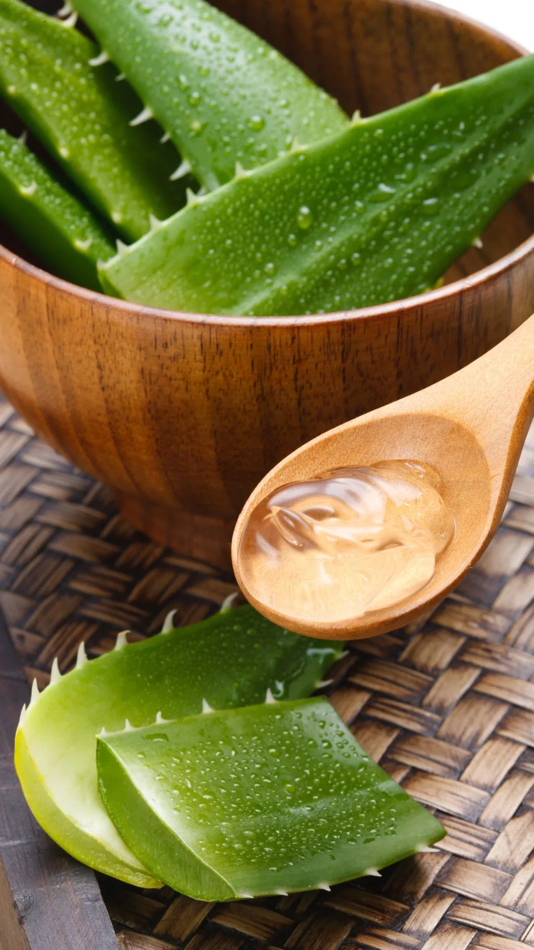 DPIIT ने ईवी विनिर्माण और स्वच्छ गतिशीलता पारिस्थितिकी तंत्र को मजबूत करने के लिए एथर एनर्जी के साथ समझौता ज्ञापन पर हस्ताक्षर किए