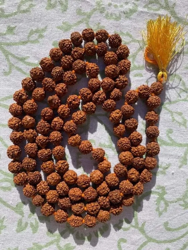 सावन में रुद्राक्ष की माला पहनने के जरूरी नियमों को जाने