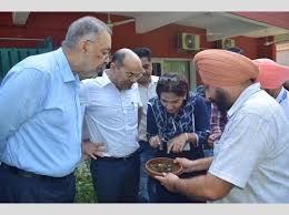 - 2025-07-12T165200.817