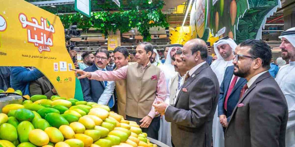 भारतीय आम के निर्यात को बढ़ावा देने के लिए APEDA अबू धाबी में ‘इंडियन मैंगो मेनिया 2025’ का आयोजन करेगा