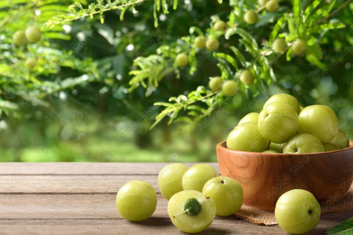 एक छोटा सा आंवला, बड़ी सेहत का राज: एक्सपर्ट्स ने बताए इसके अद्भुत फायदे