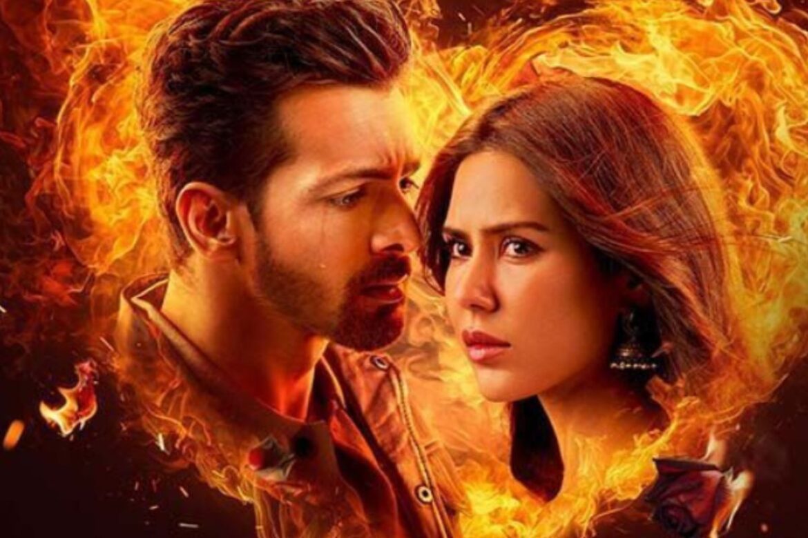 एक दीवाने की दीवानियत OTT Release: दिवाली पर थिएटर में धमाल मचाने के बाद अब नेटफ्लिक्स पर जल्द होगी रिलीज