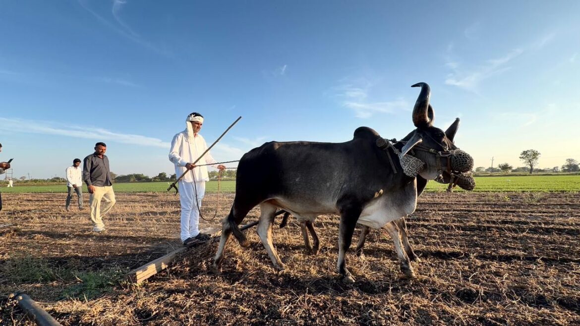 AAP नेता ईसुदान गढ़वी ने खेत जोतकर राष्ट्रीय किसान दिवस पर किसानों के अधिकारों और मोदी सरकार की नीतियों की आलोचना की