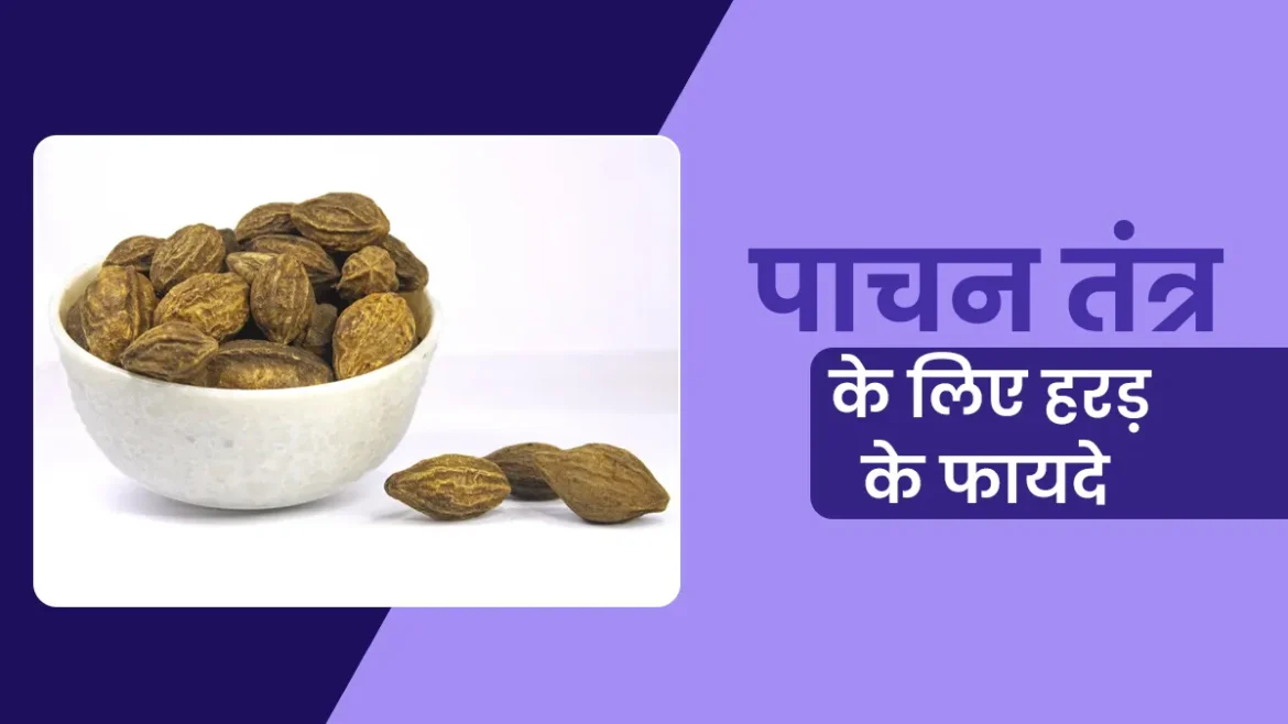 हरड़ के अद्भुत फायदे: पाचन सुधारने और इम्यूनिटी बढ़ाने वाली आयुर्वेदिक जड़ी-बूटी