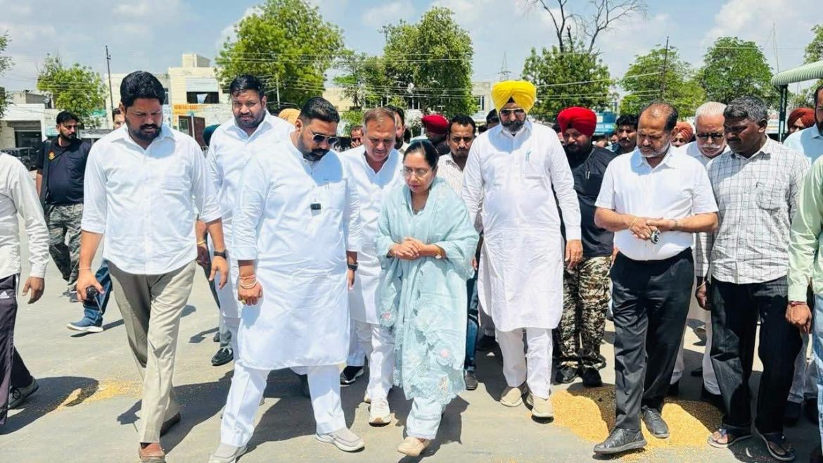 बलजीत कौर: मलोट मंडी में गेहूं खरीद शुरू, किसानों के लिए सुविधाओं को लेकर सरकार गंभीर