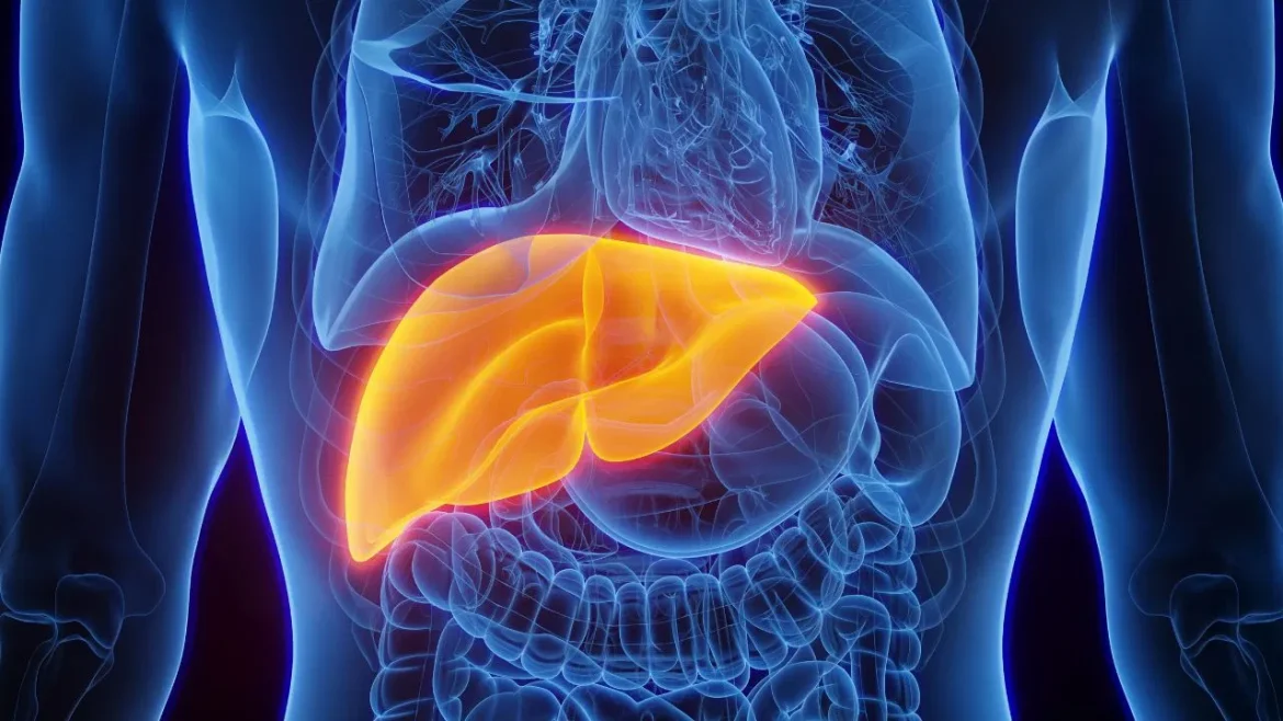 Fatty Liver Disease: बिना शराब पिए भी हो सकता है लिवर डैमेज, जानें कारण, लक्षण और बचाव के उपाय