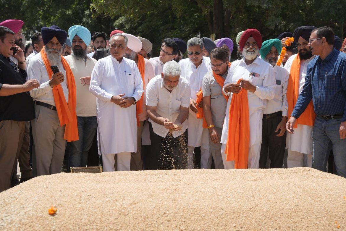 गुरदासपुर अनाज मंडी पहुंचे कैबिनेट मंत्री लाल चंद कटारूचक, खरीद और भंडारण व्यवस्था का लिया जायजा