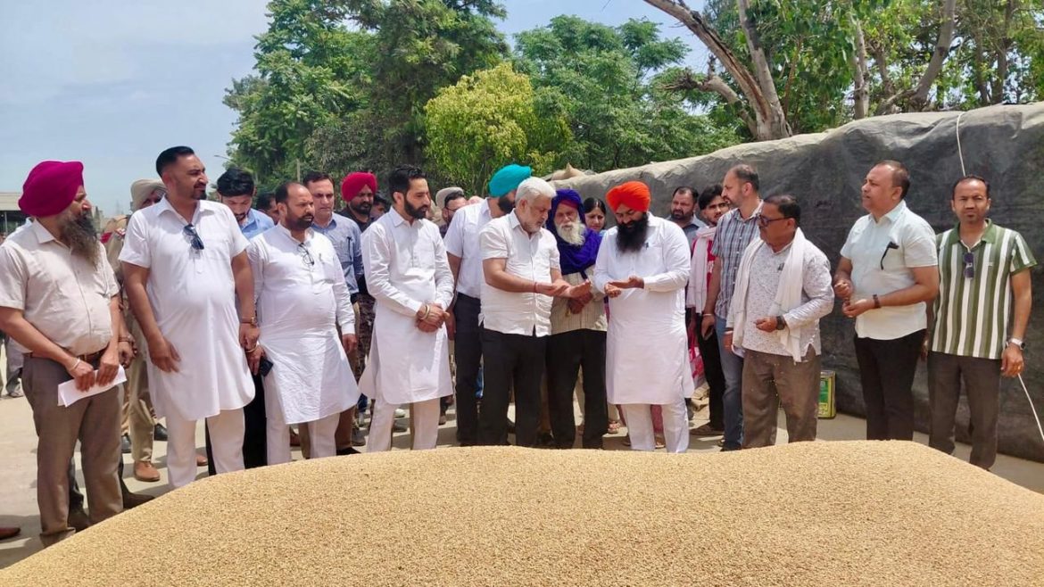 लाल चंद कटारूचक्क: पंजाब की मंडियों में 28 लाख मीट्रिक टन गेहूं की आमद, 24 लाख मीट्रिक टन से अधिक की खरीद