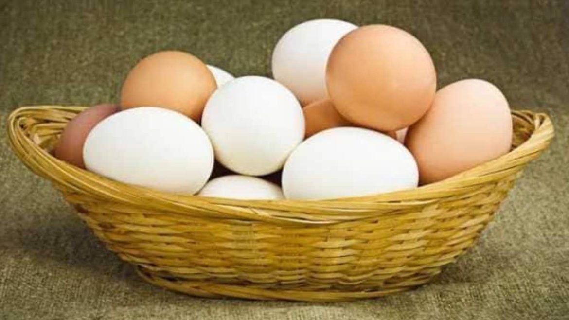 Benefits Of Eating Eggs Daily: रोज 2 अंडे खाने से शरीर में होते हैं ये बड़े बदलाव, जानें कोलेस्ट्रॉल और हेल्थ पर क्या पड़ता है असर