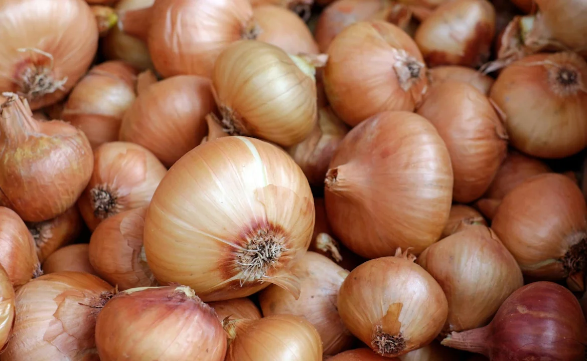 Onion for Heatstroke: क्या प्याज सच में लू से बचाता है? जानिए वैज्ञानिक सच्चाई