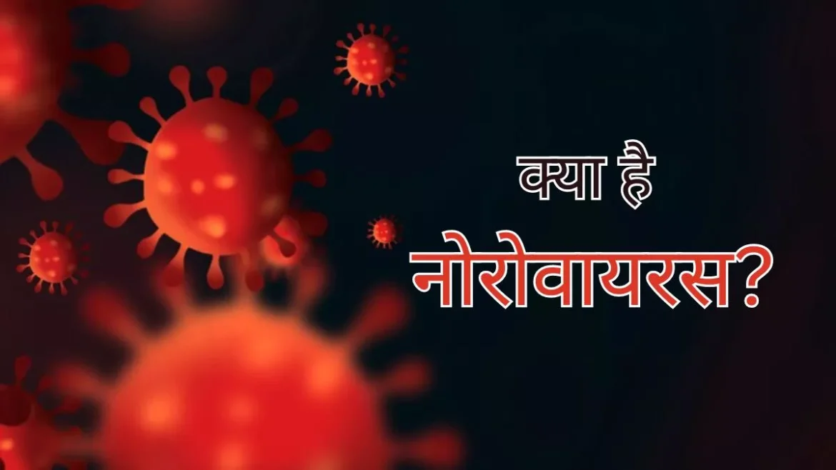 नोरोवायरस: उल्टी, दस्त और पेट दर्द से बिगड़ सकती है तबीयत, जानें कितना खतरनाक है यह संक्रमण