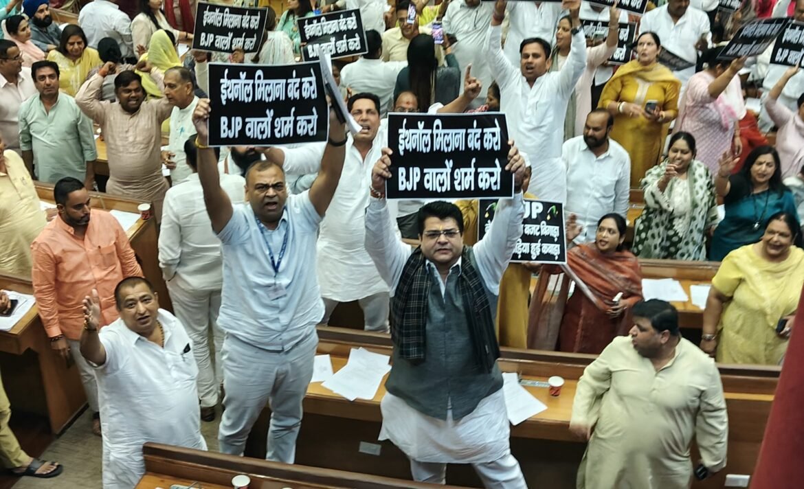 MCD सदन में E-20 नीति और जलभराव का मुद्दा उठा, AAP नेता अंकुश नारंग ने भाजपा से मांगा जवाब