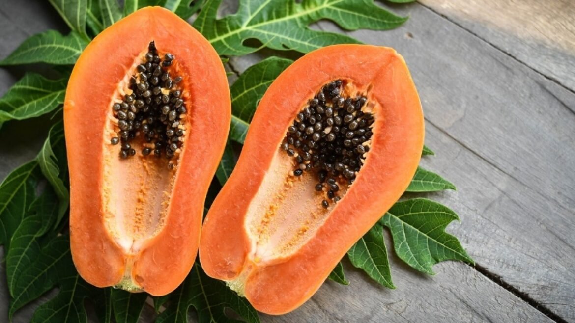 Papaya Leaf Extract Cancer: क्या पपीते की पत्तियों से कैंसर का इलाज संभव है? नई रिसर्च के दावे पर मेडिकल जगत में बहस तेज