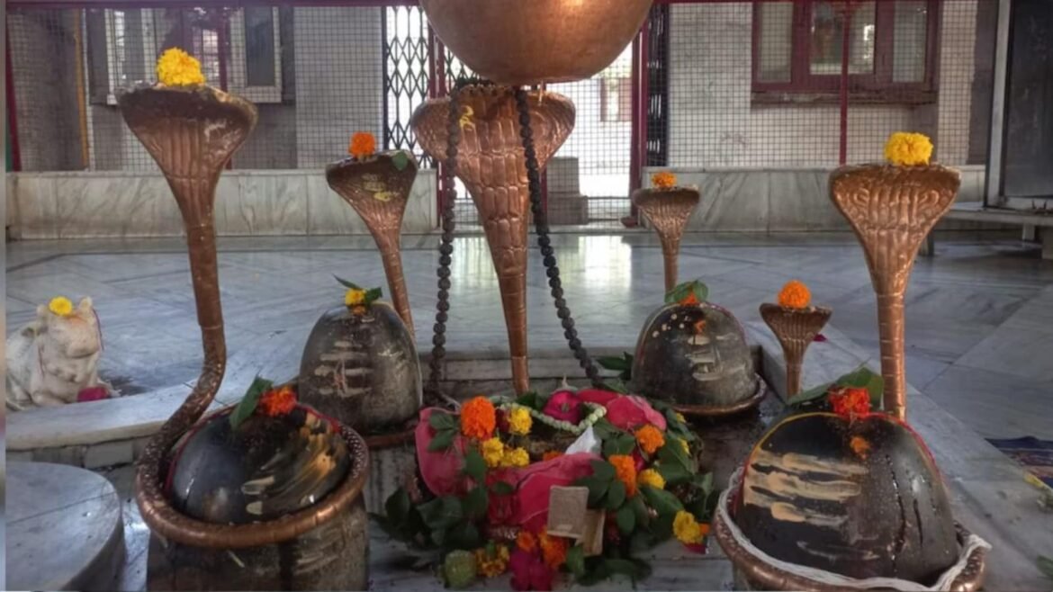 कुंडी सोटेश्वर महादेव का मंदिर: महादेव की बारात, जो कैलाश से उतरकर इस पवित्र स्थान पर रुकी थी, इस रहस्यमयी पेड़ पर कैसे पहुंचे?