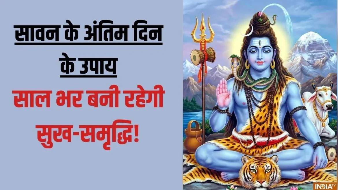 सावन के अंतिम दिन ये सात चीजें जरूर करें, इससे मां लक्ष्मी की मिलेगी कृपा