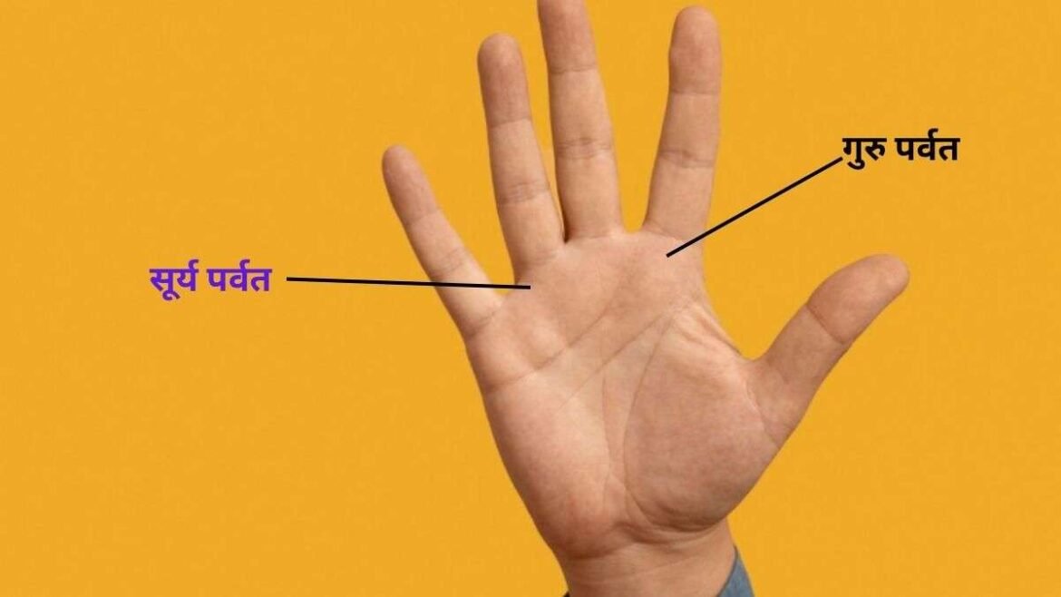 सरकारी नौकरी का राज! हथेली की रिंग फिंगर के नीचे छिपा है! परीक्षण करें अपने हाथ: क्या सूर्य ने पर्वत को दबाया या उभारा है?