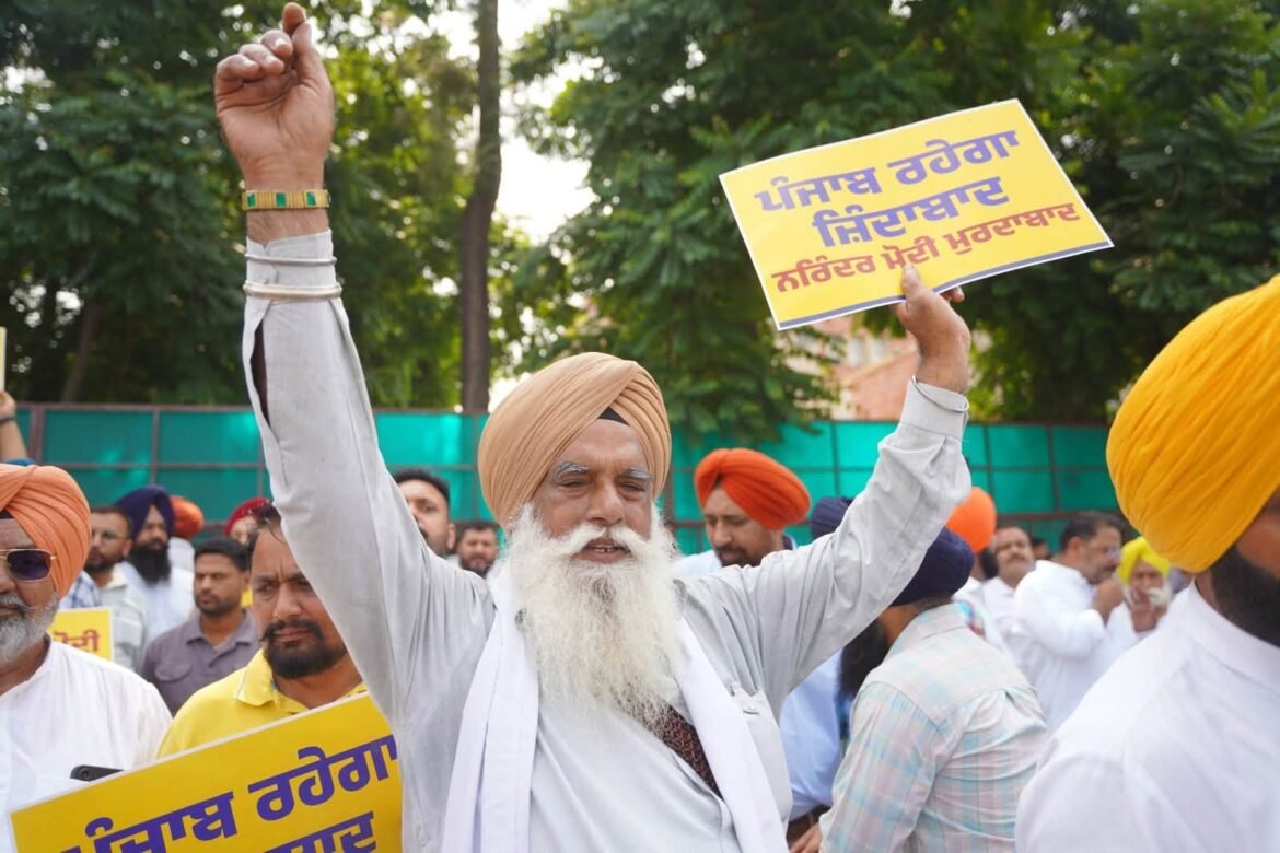 अमनशेर सिंह शेरी कलसी: लंबी तलाशी और जांच के बावजूद ईडी को 'आप' नेताओं के खिलाफ कभी कुछ नहीं मिला